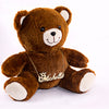 Script Name Necklace with FREE Teddy Bear